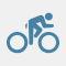 Icon Gravelbike