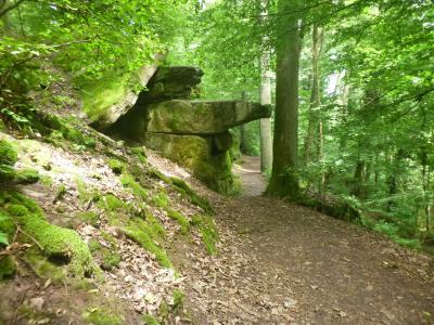 MTB, Gravel, Rhön