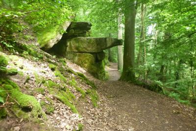 MTB, Gravel, Rhön